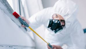 Emergency Pest Control Services in Dexter, OR